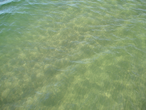Ostseewasser